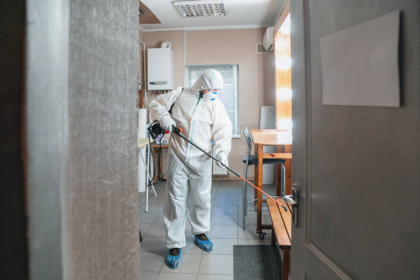 Mold Odor Removal Services in Pinch, WV