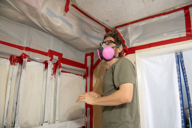 Best Black Mold Removal  in Pinch, WV