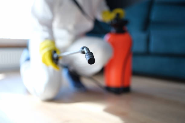Best Forensic Mold Investigation  in Pinch, WV
