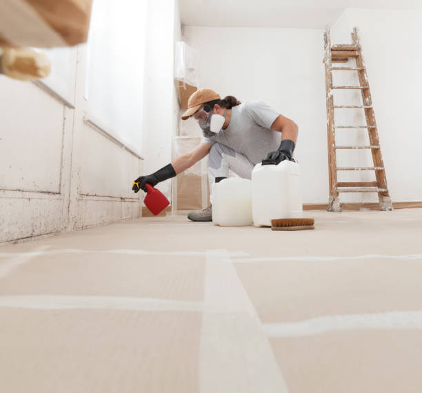 Best Mold Removal for HVAC Installations  in Pinch, WV