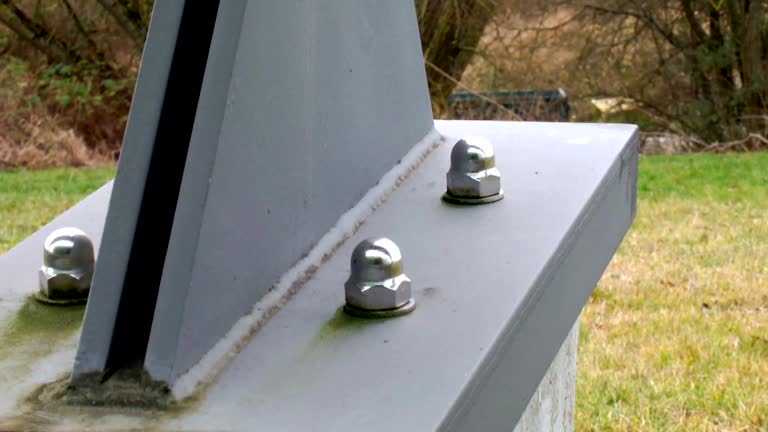  Pinch, WV Mold Removal Pros